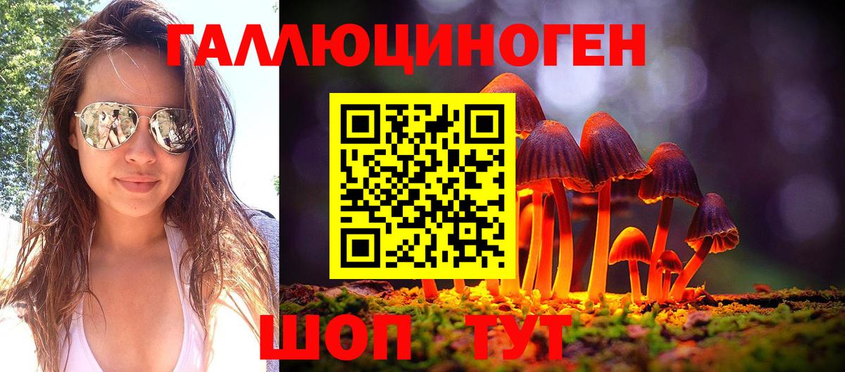 Каменск-Уральский  Галлюциногенные грибы Psilocybe  Псилоцибиновые грибы GOLDEN TEACHER  Вход с VPN 